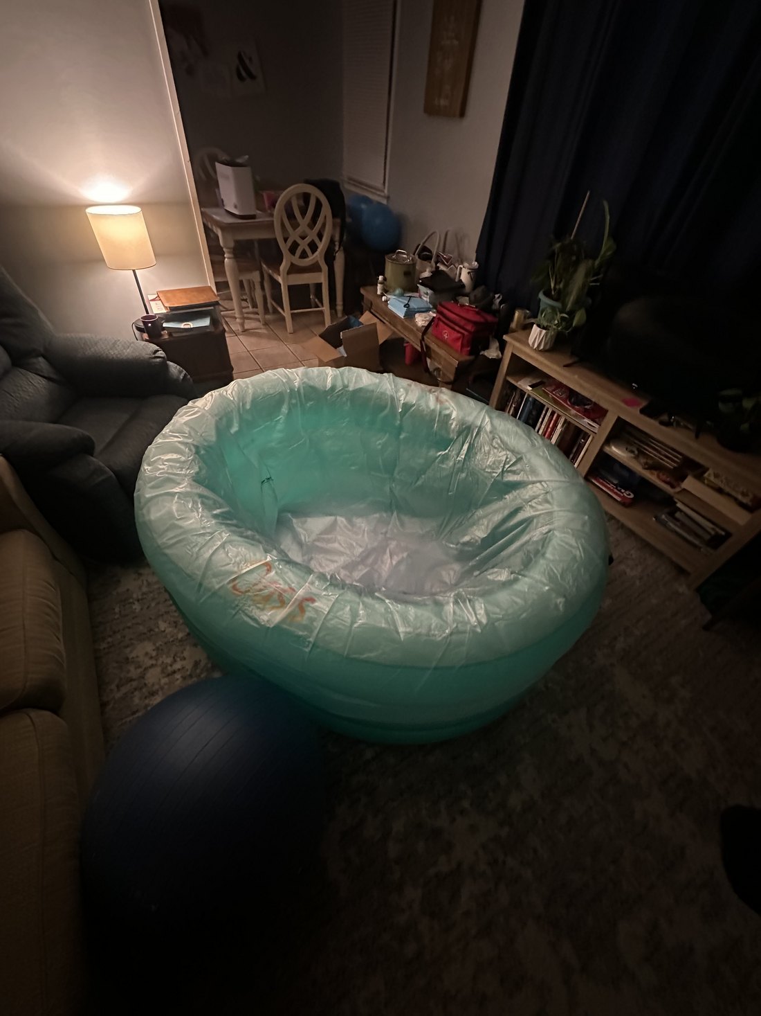 The birth pool set up in the family's living room, ready for the home birth